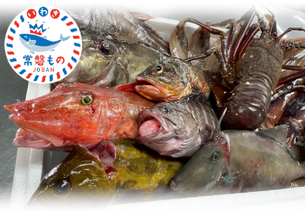 常磐もの満喫プラン