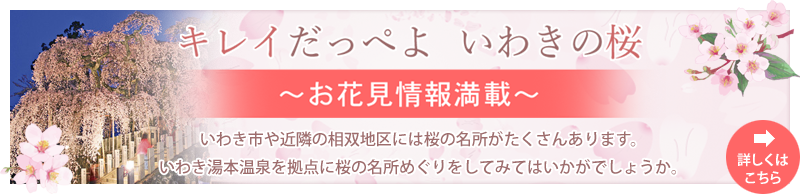 お花見情報
